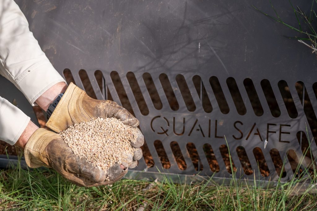 Boosting Wild Quail Populations: How the QuailSafe Quail Feeder and ...